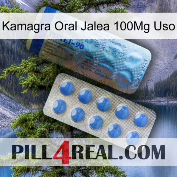 Kamagra Oral Jelly 100Mg Use 40.jpg